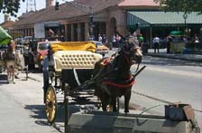 Horse Drawn Carriage